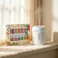 12 Bottles of Essential Oils & 1pc Humidifier