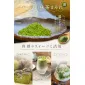 Kyoto Ochanoyamashiro Thick Uji Matcha