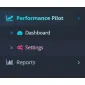 Performance Pilot